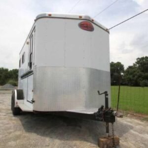 2003-sundowner-2-horse